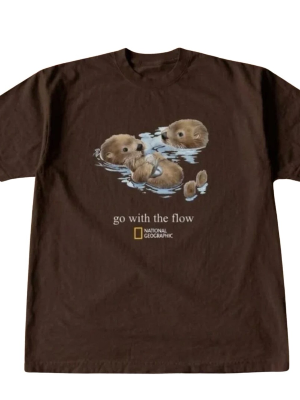 Brown Tee with Otter Graphic and Light Blue Accents